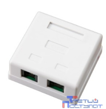 Rexant (03-0120) Розетка комбинированная внешняя, RJ-45(8P-8C) + RJ-11(6P-4C), UTP неэкранированная