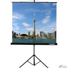 Lumien Eco View LEV-100104 Экран на штативе 127x127 (раб.область 121х121 см) MW с возможностью настенного крепления 1:1