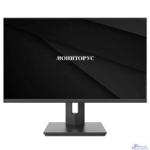 LCD Мониторус HS 2401 (WD2401-K-VHDI-AS175Q) {23.8",1920x1080,100Гц,IPS,16:9,5мс,VGA,HDMI,DVI,1000:1,178/178, 250cd, Динамики, регулировка наклона, Внутренний, Реестр МПТ}