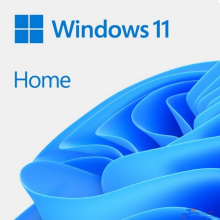 HAJ-00089 Windows 11 Home FPP P2 32-bit/64-bit RUS/EFTA USB (HAJ-00089)