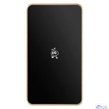 Smartbuy Portable SSD 256GB P5 Pro USB 3.2 champagne (SBD256P5CU3C)