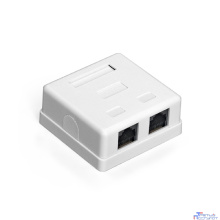 Exegate EX292843RUS Розетка внешняя двойная ExeGate SM2-RJ45-C5 RJ-45 кат.5/5E UTP Krone/110
