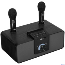 RITMIX SP-660B black { Мощность: 15 вт * 2 Частоты: 100 Гц - 20 000 Гц Чувствительно 84+-2 ДБ}