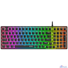 Acer Nitro OKW303 [ZL.KBDCC.01D] механическая черный/серый USB for gamer LED