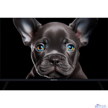 Topdevice 32" TDTV32CS08F_BK/FHD/VA/Smart SBER/1-8 Гб/BT/60Гц/черный