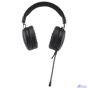 Acer AHW120 [ZL.HDSCC.01C] черный 2.1м мониторные USB