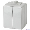 Эра Б0035976 11-1604-03 Выключатель двойной IP65, 10АХ-250В, ОУ, Эксперт, серый