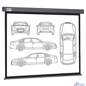Экран Cactus Wallscreen CS-PSW-168X299-SG,  299х168 см, 16:9,  настенно-потолочный серый