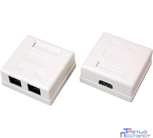 Rexant (06-0105-C) Розетка сетевая LAN, на стену, 2 гнездо 8Р8С (RJ-45), CAT 5е
