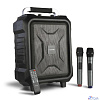 Microlab TL20 {200 Вт,гарм. искажения: < 0,5% (1 Вт 1 кГц), Чувствительность вх. сигнала: 650 мВ, Част. хар.: 40 Гц - 20 кГц, отношение сигнал/шум: > 71 дБ}