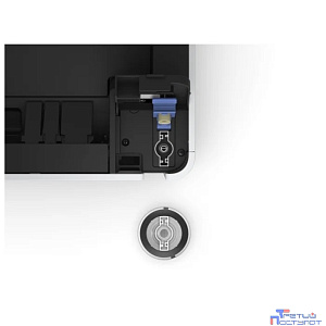 Epson M2170 МФУ  (C11CH43404/C11CH43402) {A4,ч/б, 1200х2400, 39стр/мин, USB 2.0,Wi-Fi, Ethernet (RJ-45), дисплей 3,7см}