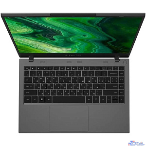 DIGMA PRO Fortis [DN14P3-ADXW01] Grey 14.1" {FHD i3-1005G1/16GB/512GB SSD/W11Pro}
