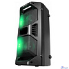 Defender Портативная акустика Rage 50Вт, Light/BT/FM/USB/LED/TWS (65109)