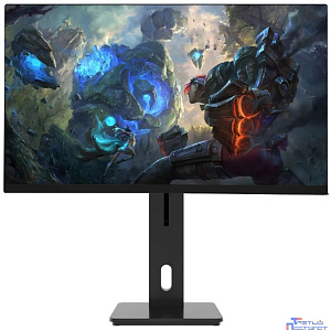 LCD Lime 23.8" T238A {IPS 1920x1080 144Hz 1ms 178/178 250cd 1000:1 D-Sub HDMI DisplayPort USB Pivot Flat}