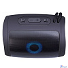 Defender Портативная колонка Enjoy S200 5Вт,Light/BT/FM/USB/TF/1200мАч