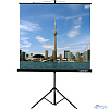 Lumien Eco View LEV-100104 Экран на штативе 127x127 (раб.область 121х121 см) MW с возможностью настенного крепления 1:1