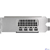 NVIDIA RTX 2000 ADA PCIe 16GB GDDR6, BLK 900-5G192-2240-000