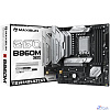 MAXSUN MS-Terminator B860M WIFI DEMO