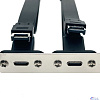 Espada Планка в корпус USB C 3.2 Gen2x2 2 порта, EbrLow22, 20Gbps низкопрофильная (46002)