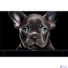 Topdevice 32" TDTV32CS08F_BK/FHD/VA/Smart SBER/1-8 Гб/BT/60Гц/черный